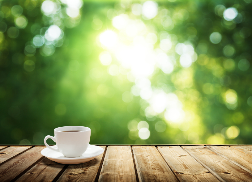 cup coffee and sunny trees background